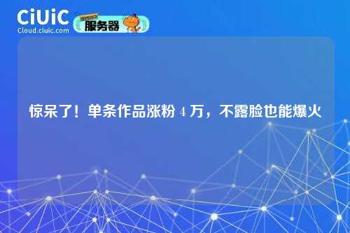 惊呆了！单条作品涨粉 4 万，不露脸也能爆火